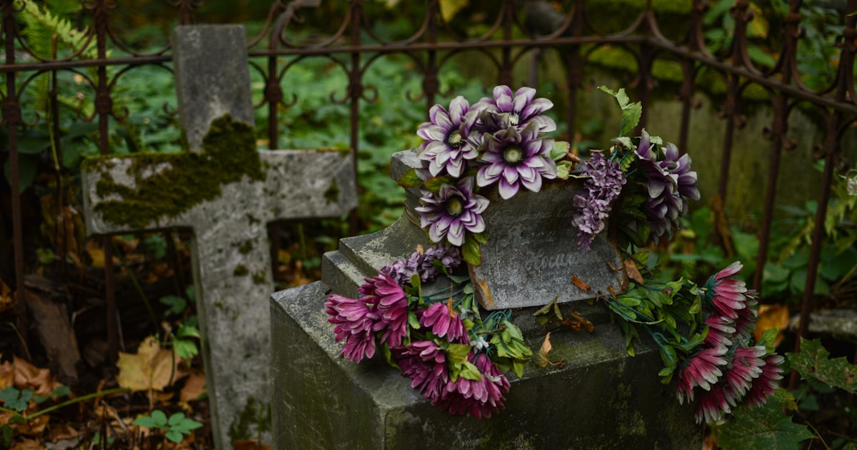 Jakie kwiaty na grób? Poradnik na każdą porę roku