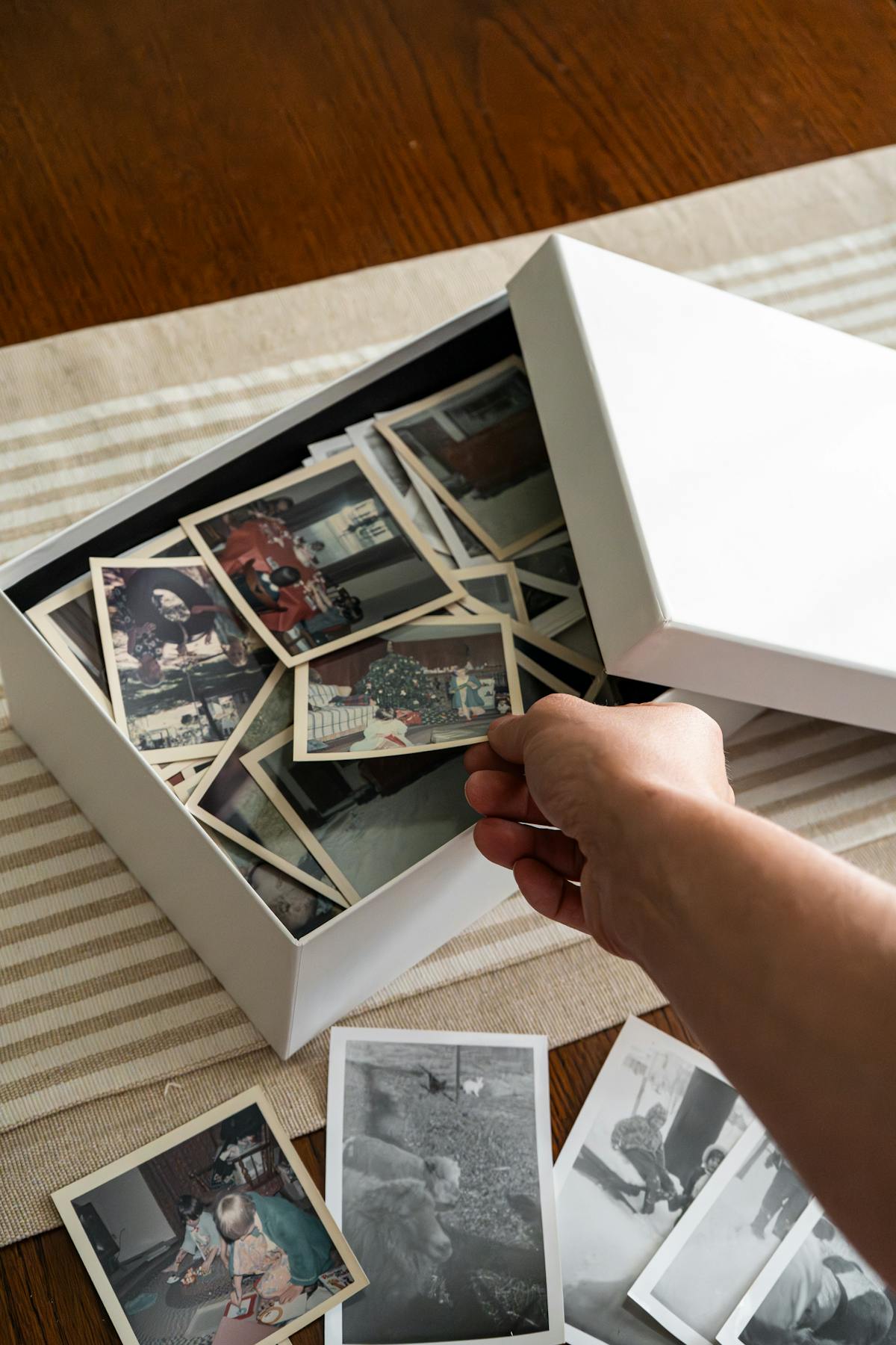 Drzewo genealogiczne online połączone z grobami - cyfrowa pamięć całej rodziny