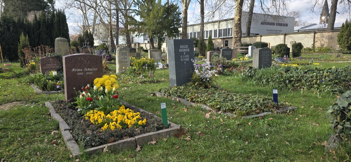 Zamów sprzątanie grobu online - jak to działa krok po kroku